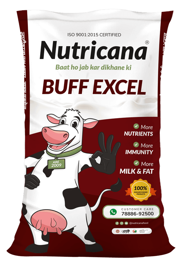Buff Excel