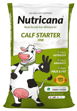 Calf Starter One