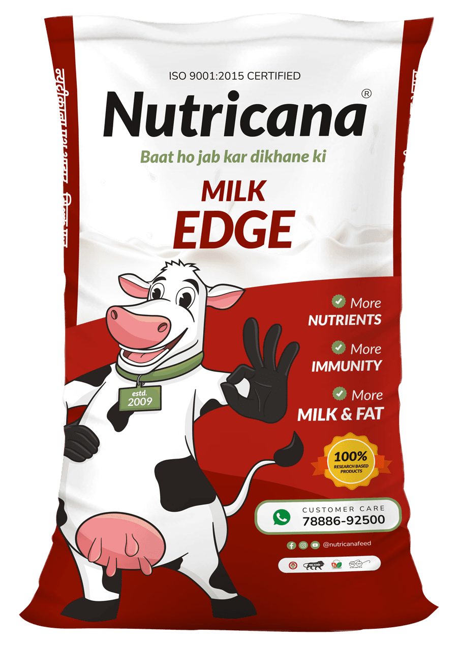 Milk Edge
