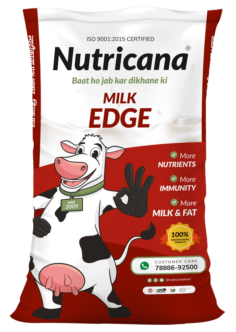 Milk Edge