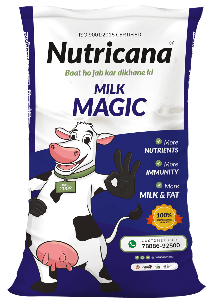 Milk Magic bag